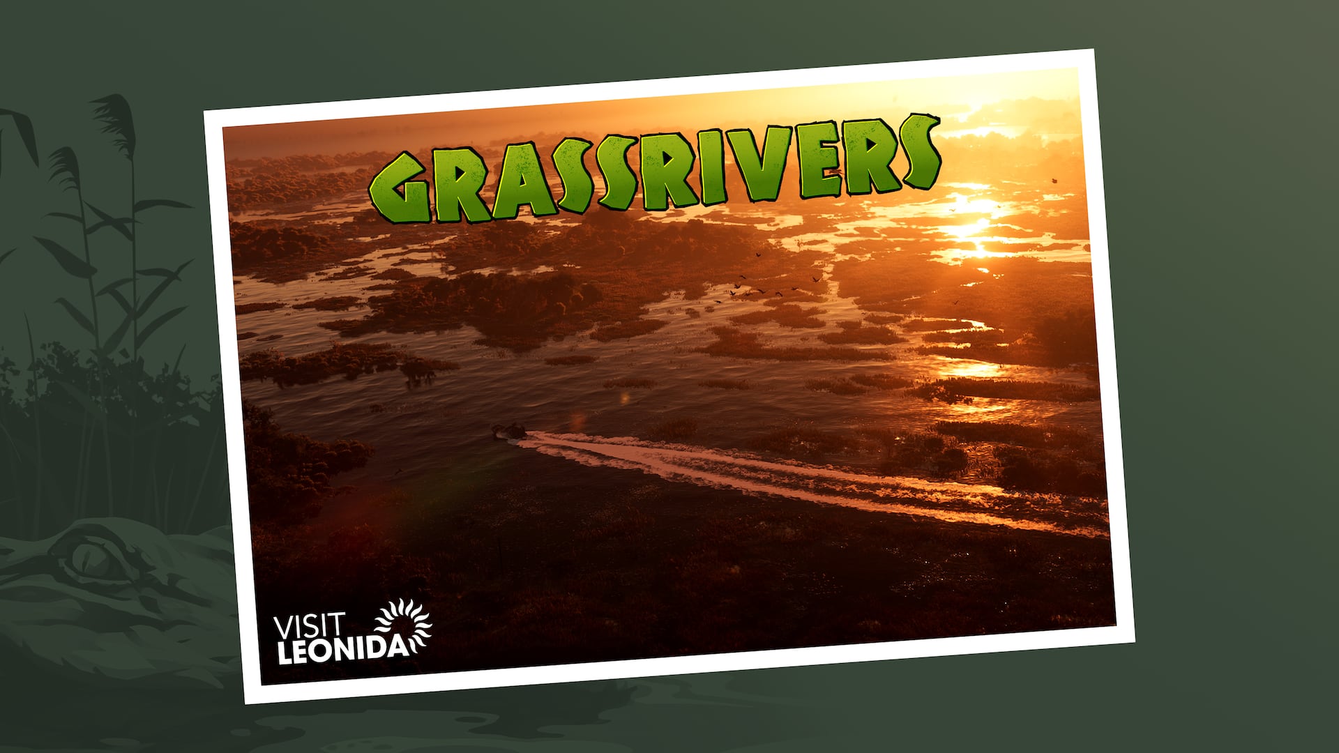 Grassrivers official promotional postcard